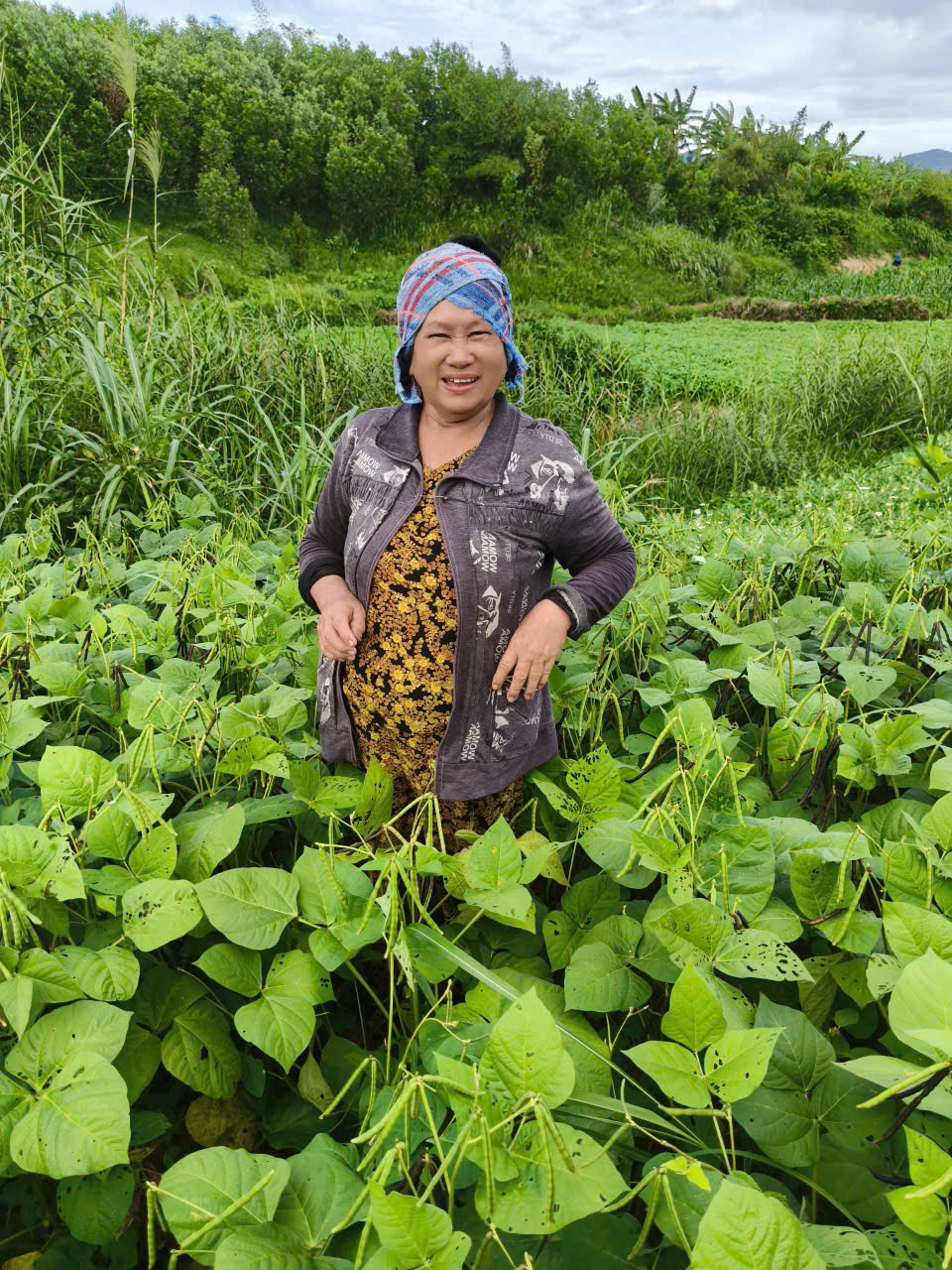 Hình ảnh người trồng tại vùng nguyên liệu do Mộc Kim cung cấp
